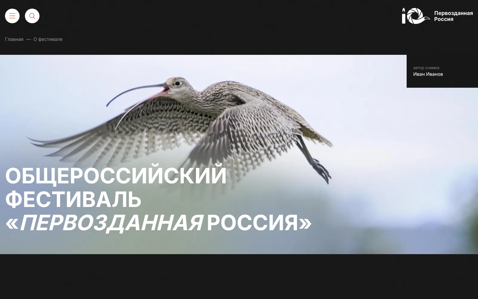 Страница «О фестивале»: большое фото и заголовок