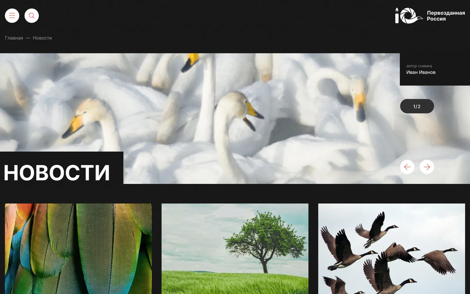 Новости фестиваля