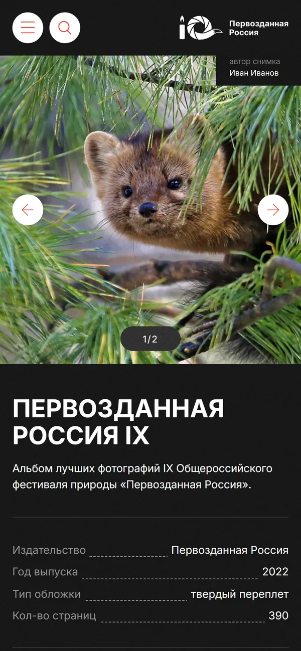 Карточка альбома на телефоне