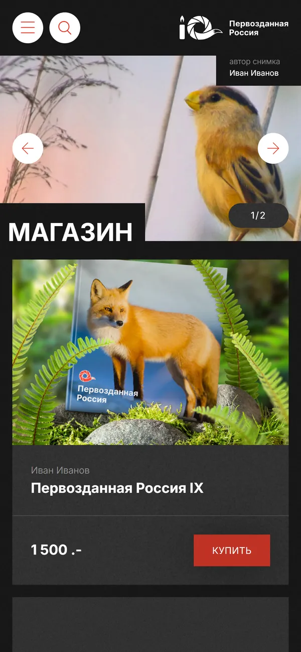 Магазин на телефоне